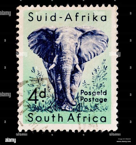 south africa postage stamps