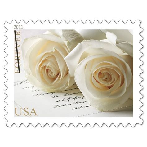 white rose postage stamps